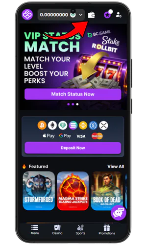 Deposit Coin Casino